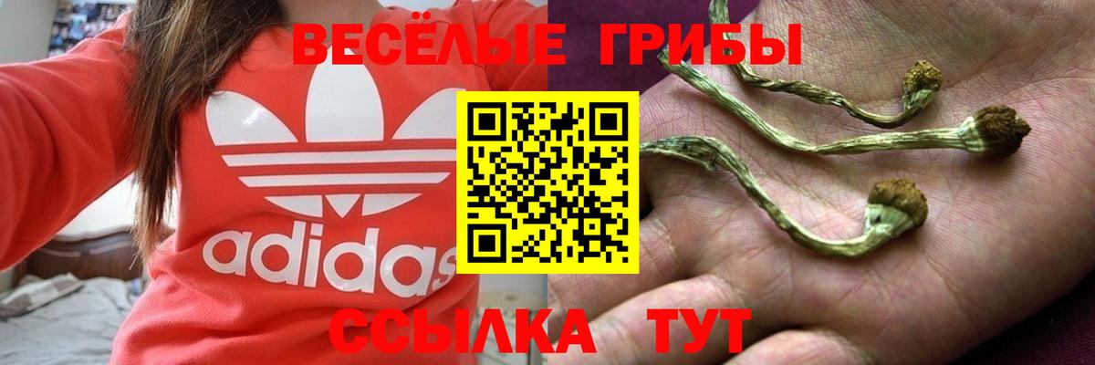 Галлюциногенные грибы мицелий  Псилоцибиновые грибы MAGIC MUSHROOMS  Вход с VPN  Новосибирск 